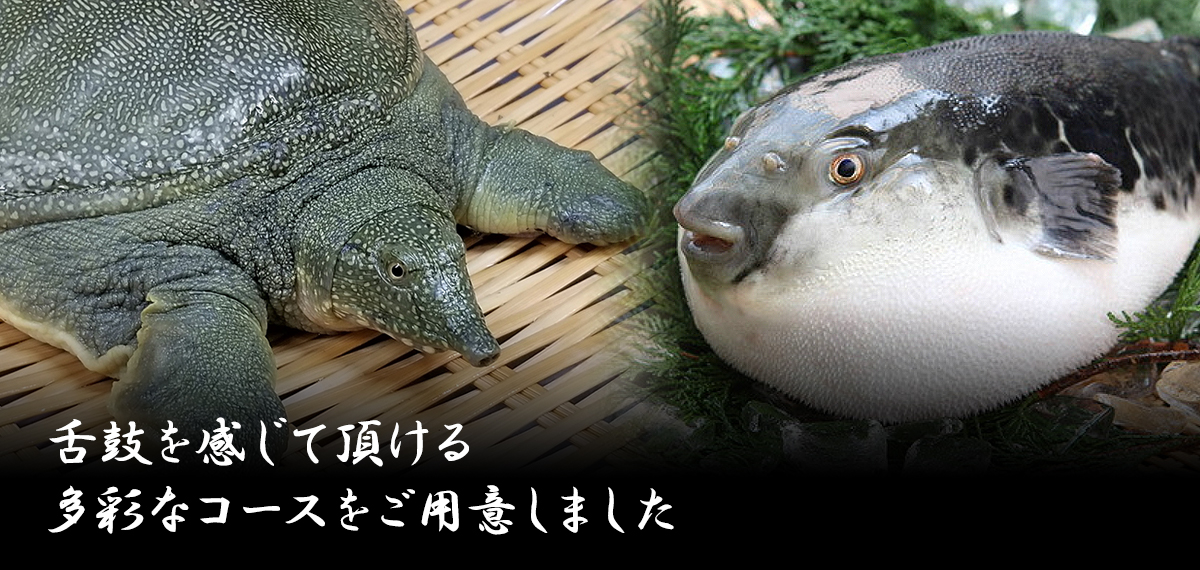 季節に応じた旬の逸品を味わうコースをご用意いしました。